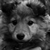 :iconHainate:
