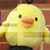 :iconhaineko123: