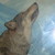 :iconhairofthewolf: