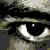 :iconhaitran1989: