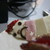 :iconhaitsu666: