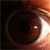 :iconhakeldamax: