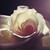 :iconhalah-psactions: