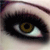 :iconhalah1971: