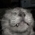 :iconhalcyon123:
