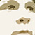 :iconhaleq: