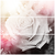 :iconhaley-bubbette: