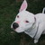 :iconhaley0713: