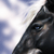 :iconhaleymo-studios: