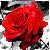 :iconhalf-breed-neko: