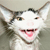:iconhalfbent: