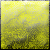 :iconhalfelf: