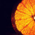 :iconhalforange: