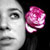 :iconhalfwhit14: