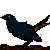 :iconhalfwits: