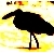 :iconhalfyellow: