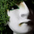 :iconhalif-aist: