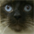 :iconhall0ween: