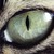 :iconhallowedraven: