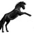 :iconhalmet: