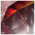 :iconhalo343gs: