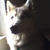 :iconhalomoon: