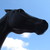 :iconhaloonahorse1121314: