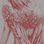 :iconhalorecoil: