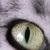 :iconhalowings212: