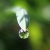:iconhaltersc: