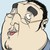 :iconhamadubai: