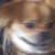 :iconhamburgerstime: