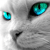 :iconhamed-rezapour: