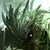 :iconhammerguard: