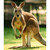:iconhammersecurities: