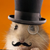 :iconhamsterhill: