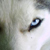:iconhamsterul: