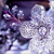 :iconhanabi-freakette: