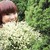 :iconhanabi158: