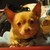 :iconhanabifox: