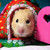 :iconhanacoco: