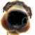 :iconhanadekanosekai:
