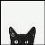 :iconhanaz234: