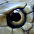 :iconhandbrake: