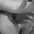 :iconhandes: