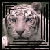 :iconhandylady: