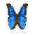 :iconhangekistudio: