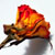 :iconHangNail1: