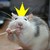 :iconhangur: