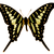 :iconhani125: